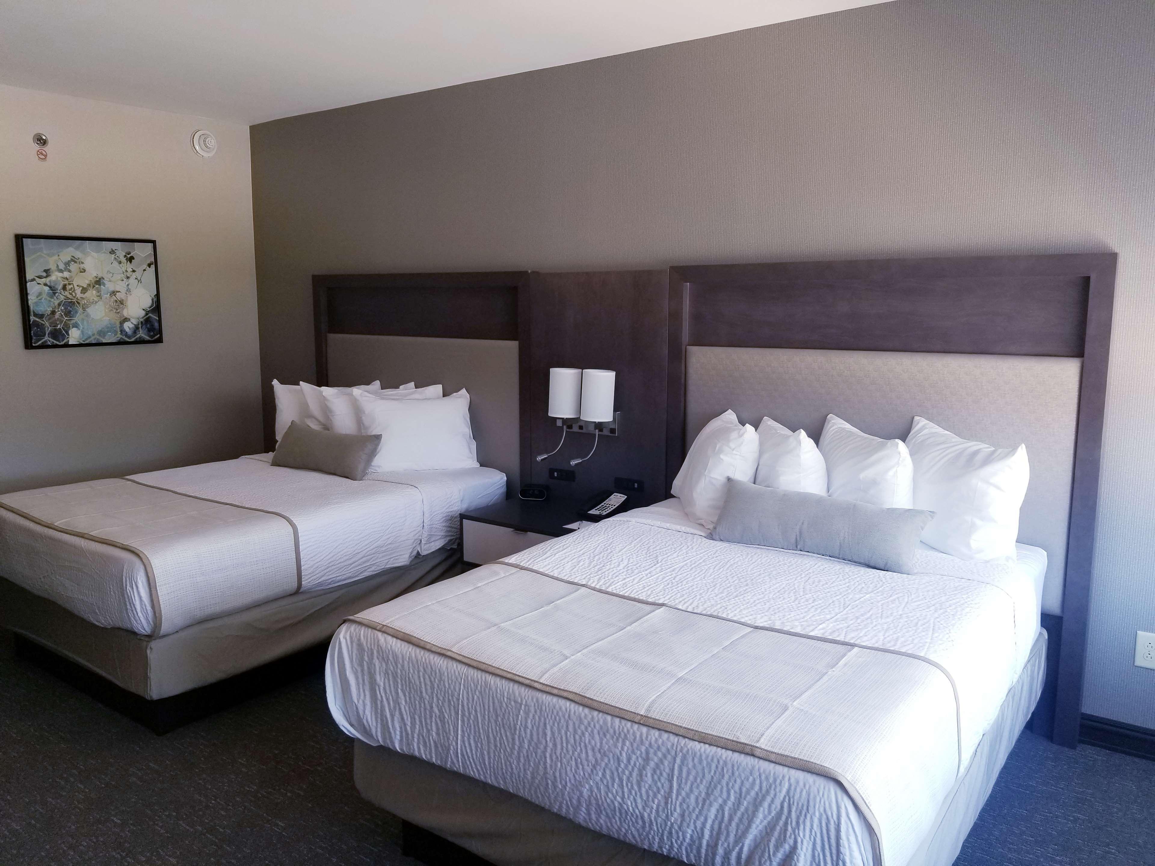 Best Western Plus Executive Residency Rigby'S Water World Hotel Уорнер-Робинс Экстерьер фото
